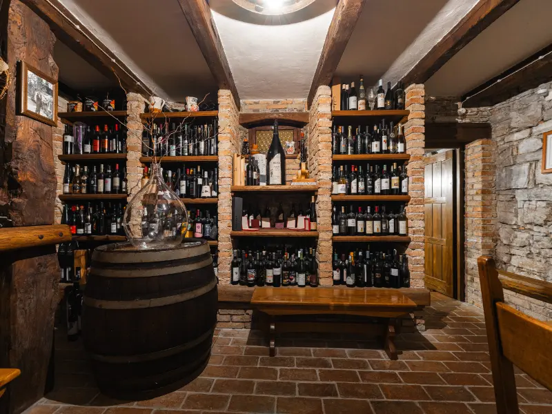 {"sl":"Police polne steklenic vina v rustikalni kleti.","en":"","de":"","it":""}