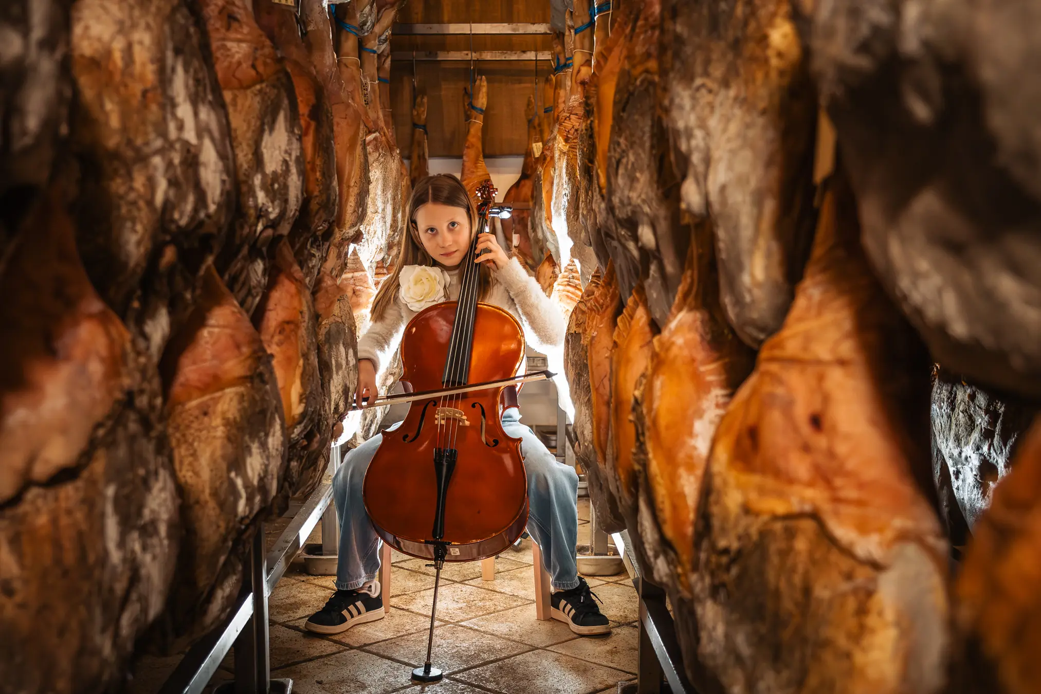 {"sl":"Deklica sedi in igra violon\u010delo v med pr\u0161uti v su\u0161ilnici.","en":"","de":"","it":""}