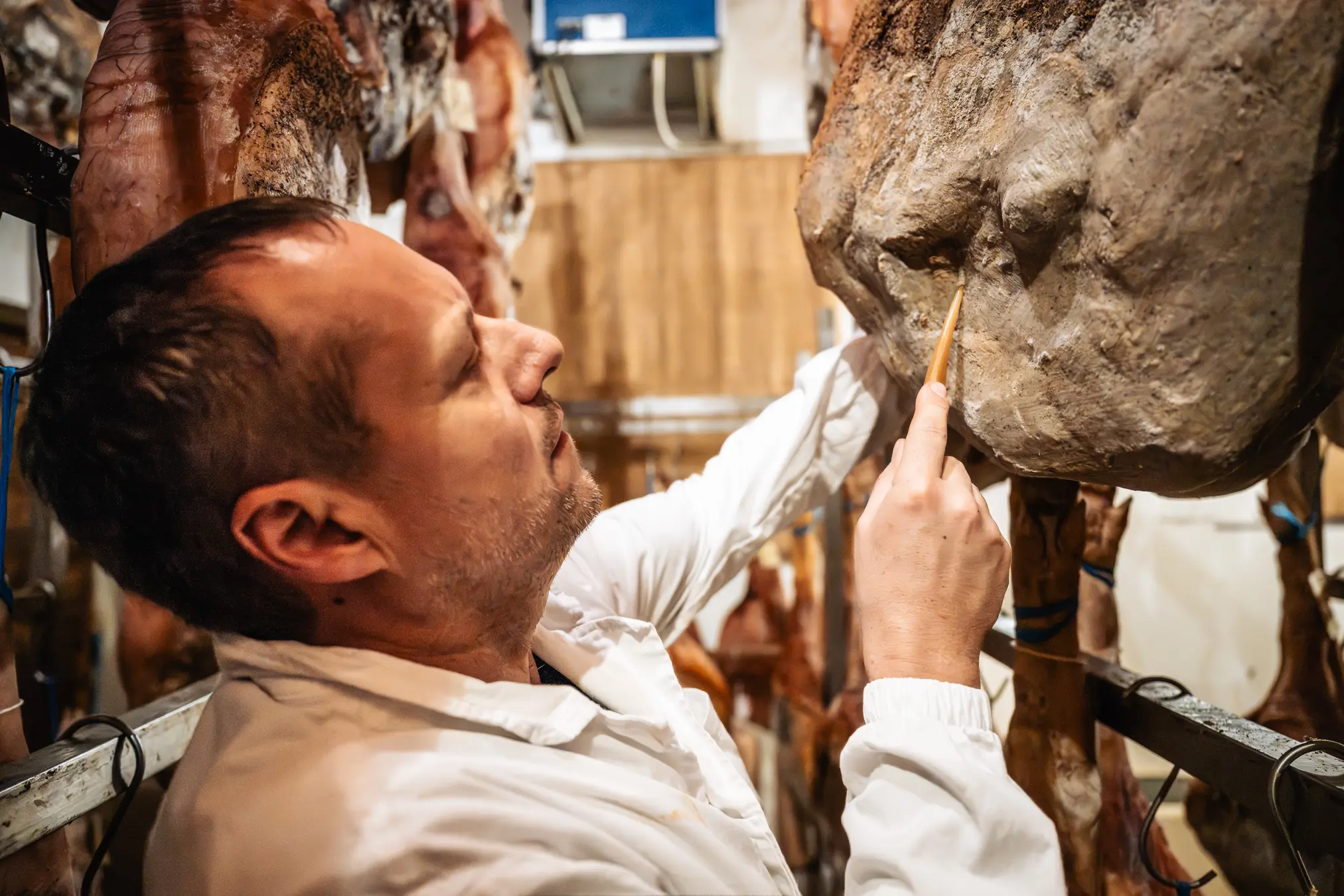 {"sl":"Mo\u0161ki v beli halji z lesenim orodjem pregleduje su\u0161enje pr\u0161uta v obratu.","en":"","de":"","it":""}