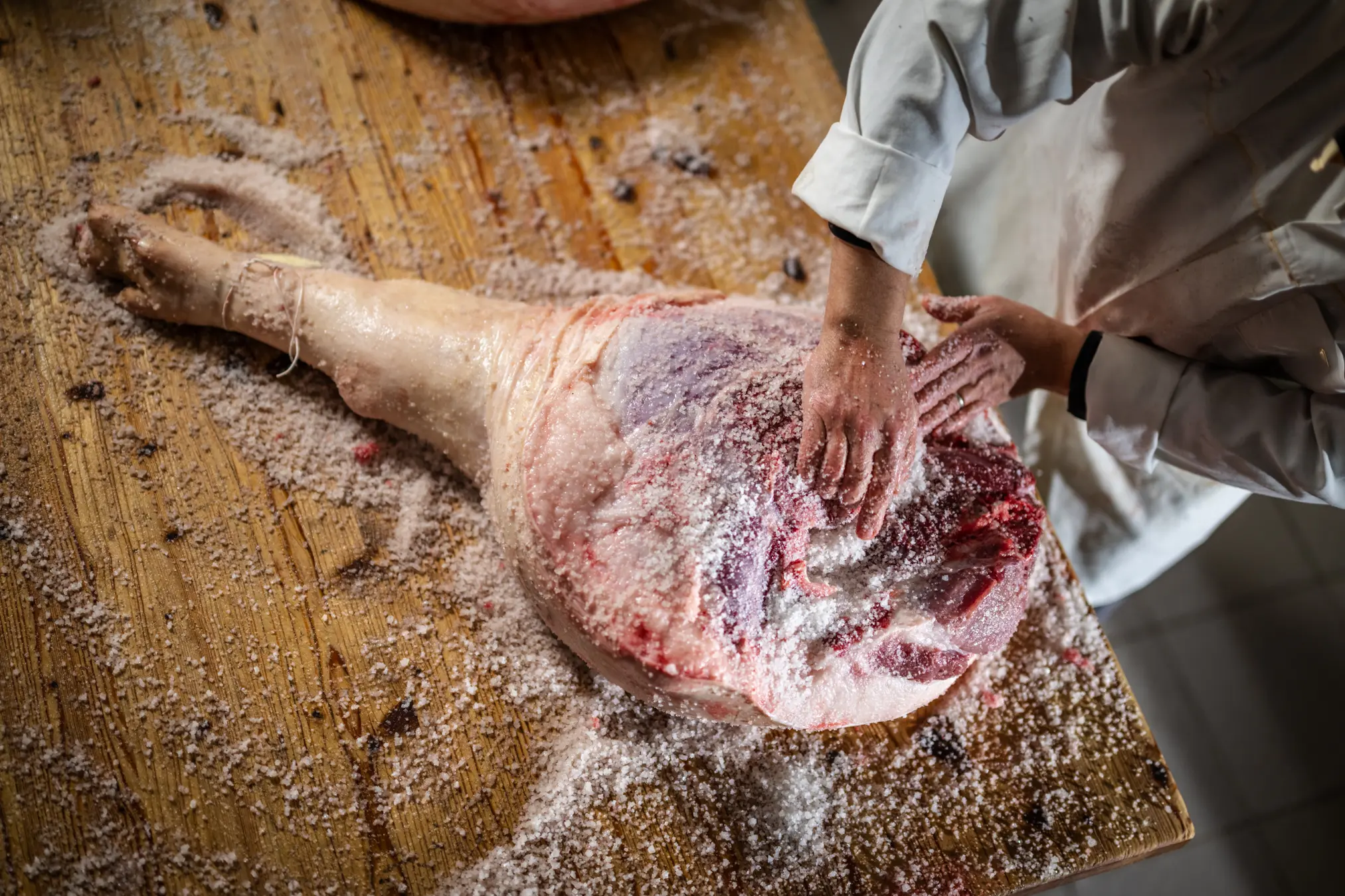 {"sl":"Oseba soli pra\u0161i\u010djo kra\u010do na leseni mizi.","en":"","de":"","it":""}